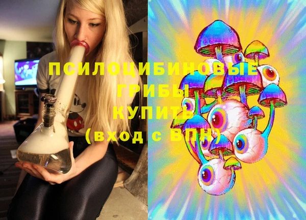 PSILOCYBIN Богородицк