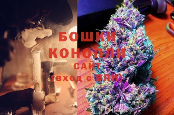 PSILOCYBIN Богородицк